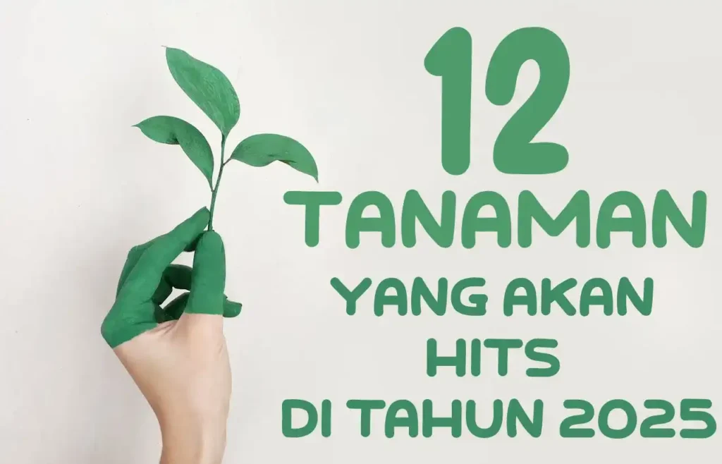 12 Tanaman yang Akan Hits di Tahun 2025