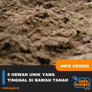 5 Hewan Unik yang Tinggal di Bawah Tanah