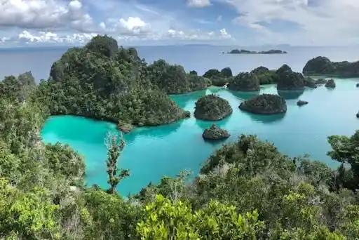 12 Tempat Wisata Raja Ampat yang Wajib Dikunjungi